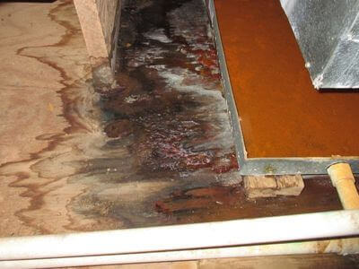 About Water Damage Restoration Near Me - 24/7 mold remediation lincoln ne experts in Lincoln, NE