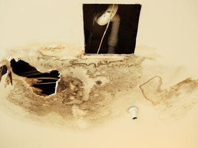 Professional 24/7 mold remediation lincoln ne services in Lincoln, NE - Water Damage Restoration Near Me