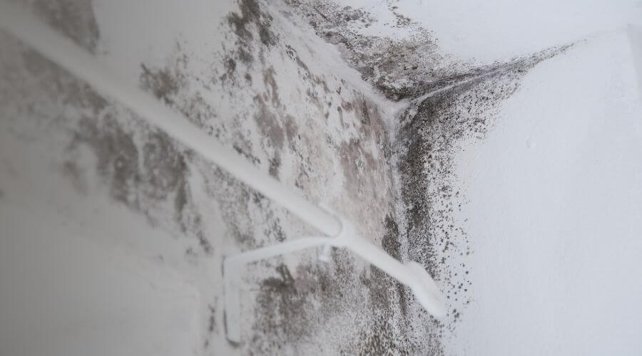 Why choose Water Damage Restoration Near Me for 24/7 mold remediation lincoln ne in Lincoln, NE